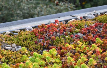 the cost of Bedlinog green roof installation