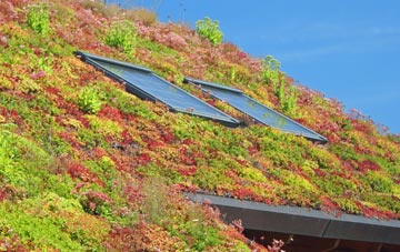 Bedlinog living roof systems