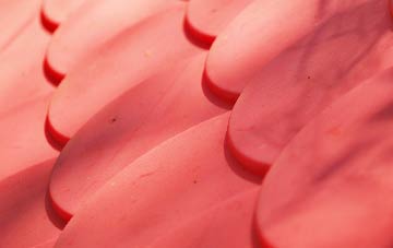 Bedlinog plastic roof costs